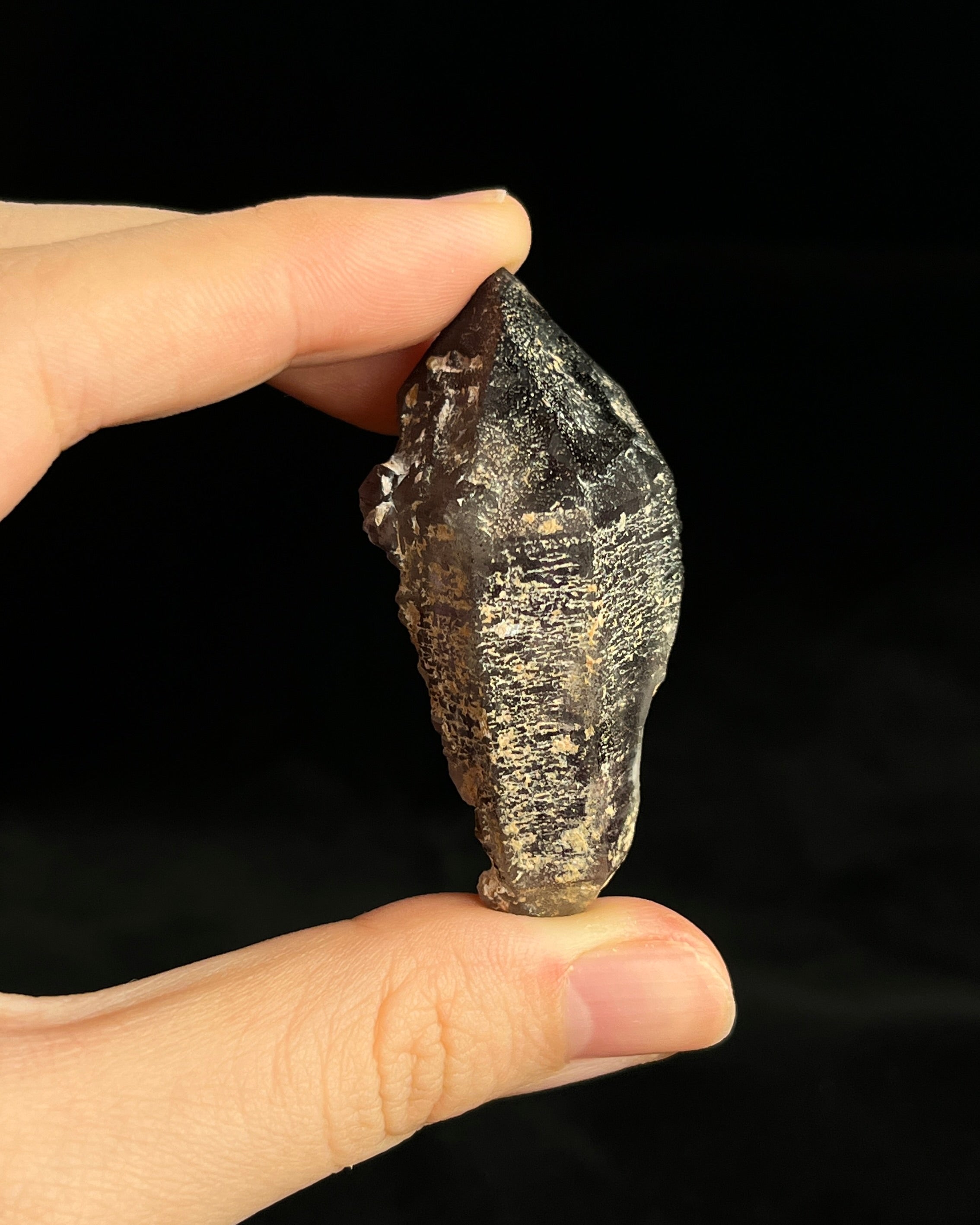 Namibian amethyst with violet core and etched crocodile-textured surface, showing dark micro-inclusions.1