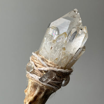 Etched Quartz Cluster Antler Wand – The Celestial Conduit