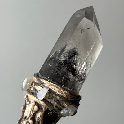 Twin Phantom Hidden Mountain Antler Wand – The Veil of Illusions