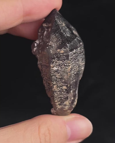 Namibian amethyst with violet core and etched crocodile-textured surface, showing dark micro-inclusions-video