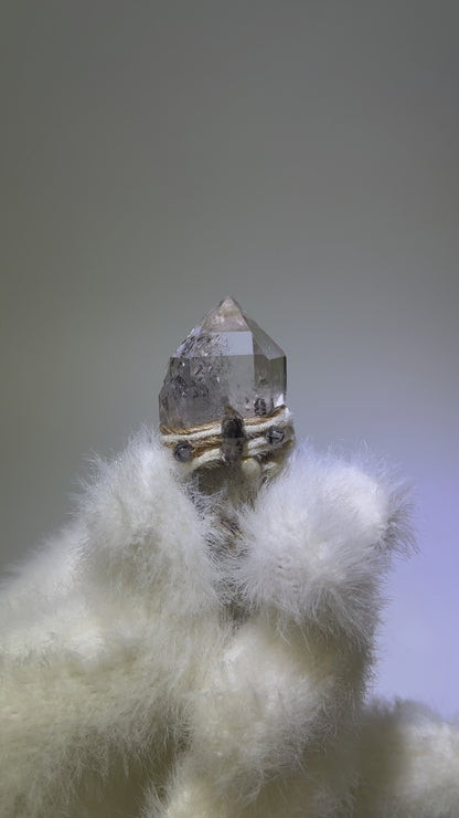 Record Keeper Phantom Antler Wand – The Keeper of Secrets